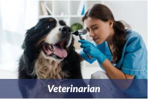 Veterinarian